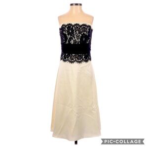 WHBM Satin & Lace Formal Elegant Cocktail Dress